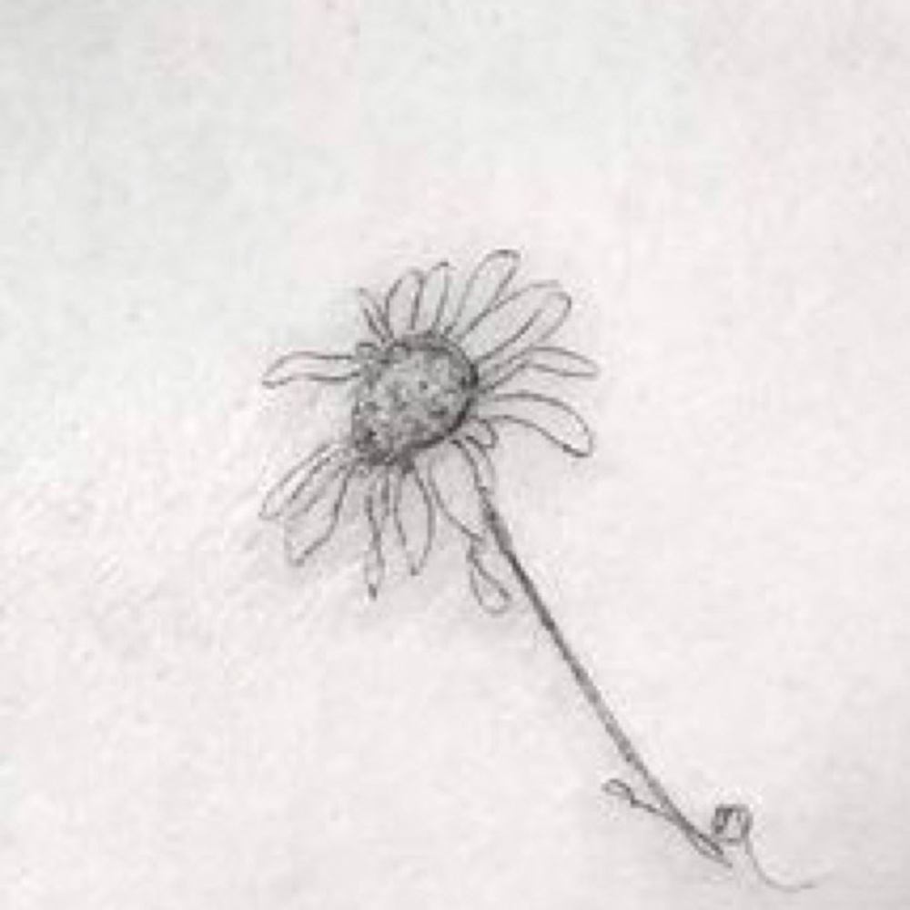 Meet your Posher, Evelyn